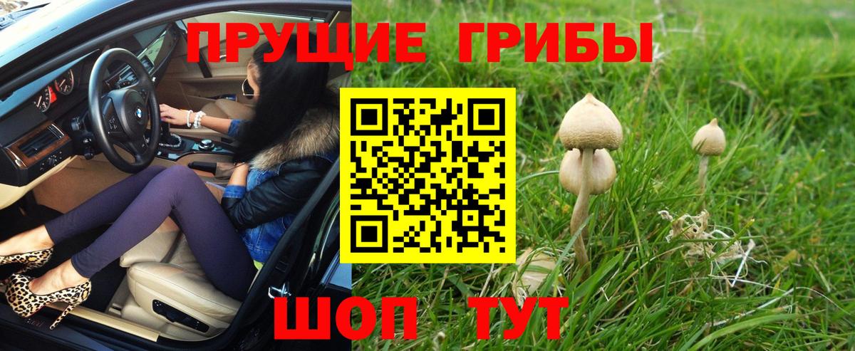 Красногорск  Галлюциногенные грибы Psilocybine cubensis  Вход с VPN  Псилоцибиновые грибы MAGIC MUSHROOMS 
